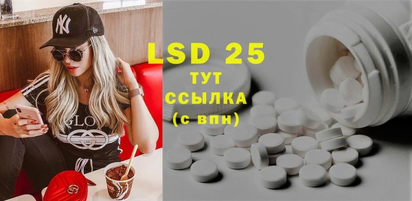 ГАЛЛЮЦИНОГЕННЫЕ ГРИБЫ Кулебаки