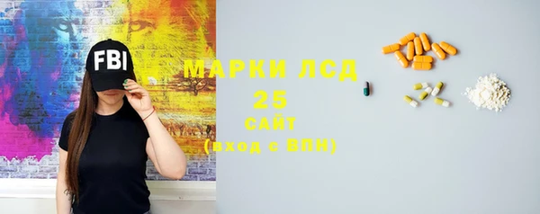 ГАЛЛЮЦИНОГЕННЫЕ ГРИБЫ Кулебаки