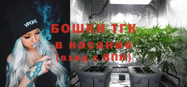 молекула духа Строитель