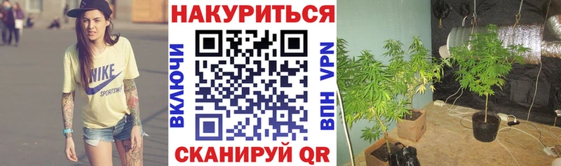 Марихуана Bruce Banner  Торопец 